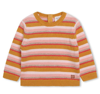 Multicolor Knit Stripe Sweater with Contrast Neck Detail