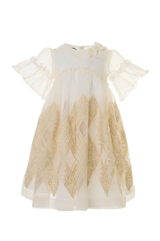 Gold Embroidered Organza Gown
