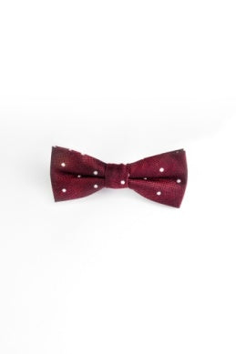 Burgundy Dots Bow Tie
