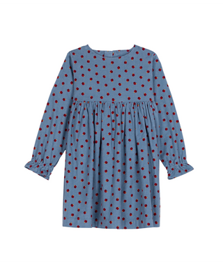 Blue and Red Apple Print Corduroy Dress