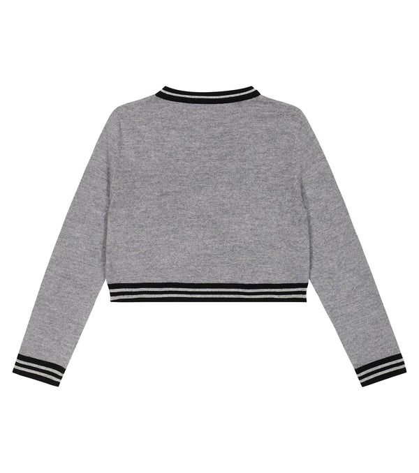 Grey Contrast Stripes Cropped Sweater with Chest Logo