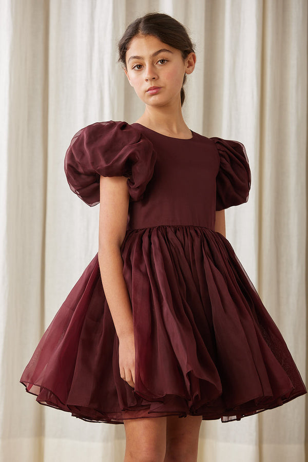 Amelia Burgundy Organza Dress