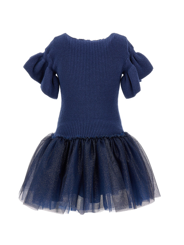 Navy Shimmer Tulle Dress