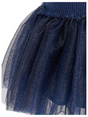 Navy Shimmer Tulle Dress