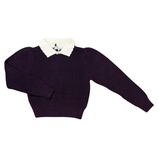 Plum Collared Sweater