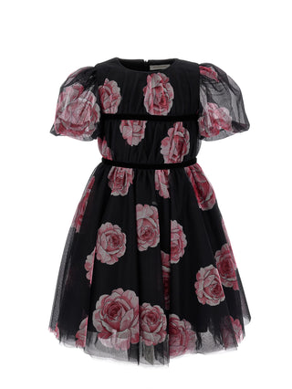 Sophie Black with Pink Roses Dress