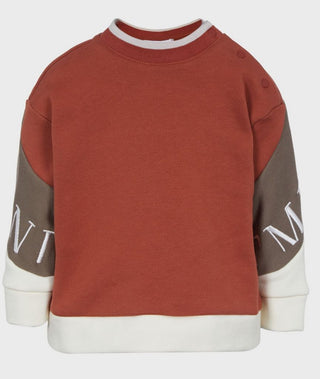 Brown Baby Tri-Color Sleeve Sweatshirt & Back Logo