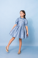 Light Blue Jacquard Puff Sleeve Dress
