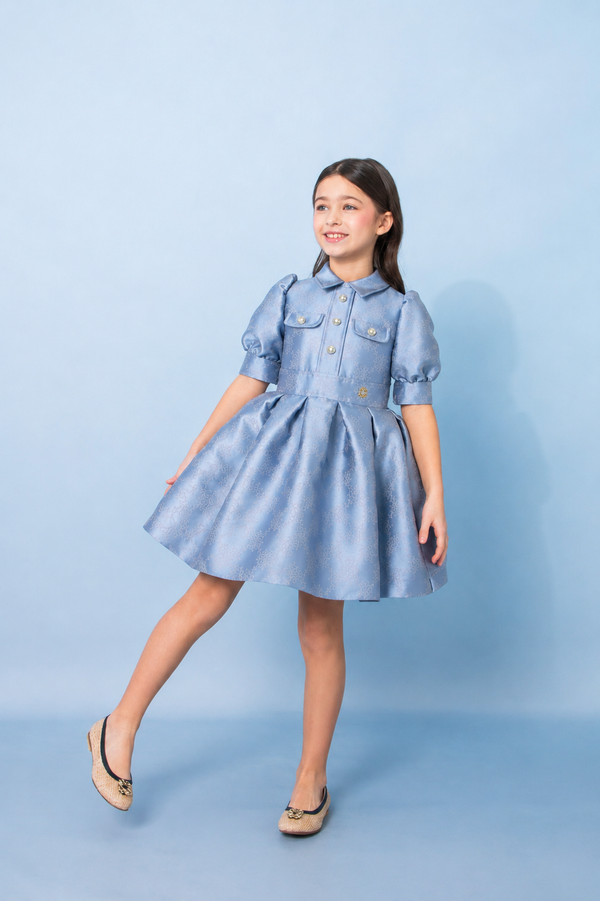 Light Blue Jacquard Puff Sleeve Dress