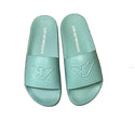 Aqua Eagle Slides
