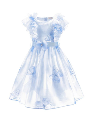 Baby Blue Butterfly Print Party Dress