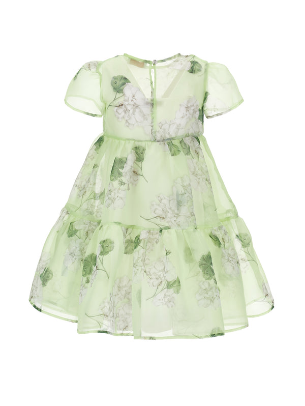 Green Garden Tiered Organza Dress