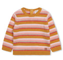 Multicolor Knit Stripe Sweater with Contrast Neck Detail