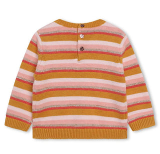 Multicolor Knit Stripe Sweater with Contrast Neck Detail