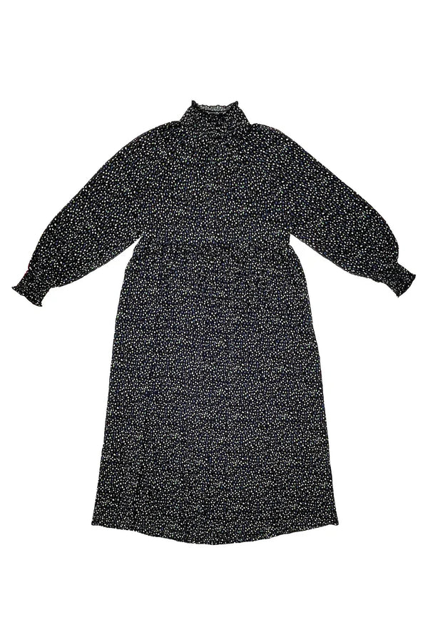 Blue and Brown Antoinette Dress