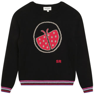 Black Ladybug Graphic Knit Sweater with Contrast Edges