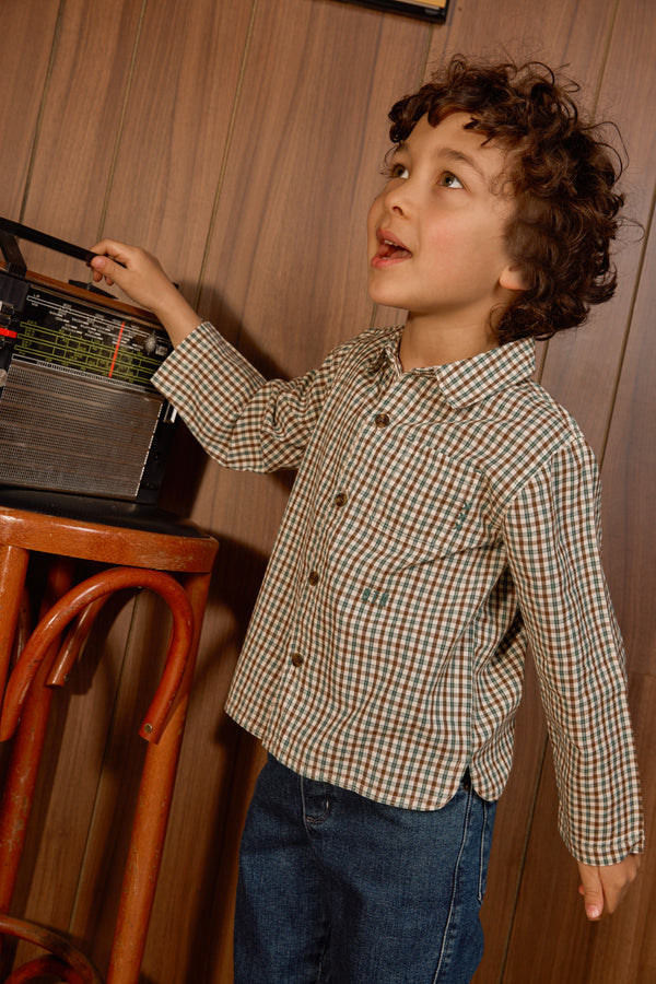 Multicolor Mini Check Shirt