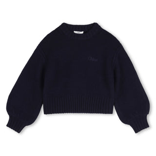 Navy Knit Logo Crewneck Sweater