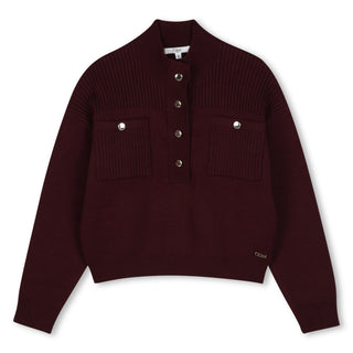 Dark Plum Half Button Sweater