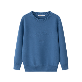 Blue Embroidered Sweater