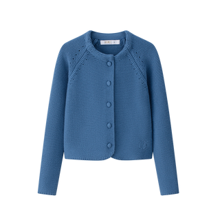 Blue Cropped Cardigan