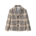 Beige and Blue Plaid Blazer