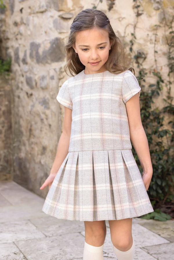 Grey Pink Plaid Dropwaist Dress