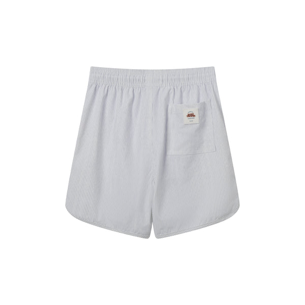 Grey Striped Swim Trunk