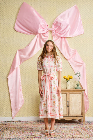 Multicolor Floral Printed Striped Trim Dress