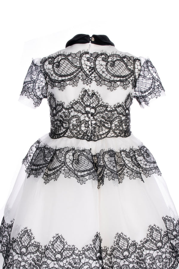 White LL Organza Dress with Black Lace