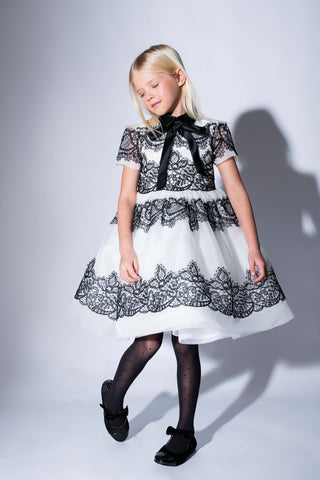White LL Organza Dress with Black Lace