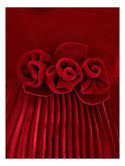 Red Velvet Rose Waist Pleated Dress