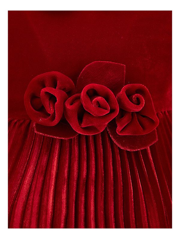 Red Velvet Rose Waist Pleated Dress