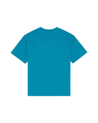 Aqua Multicolor Turtle Tee