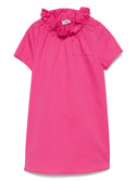 Pink Ruffle Collar Dress