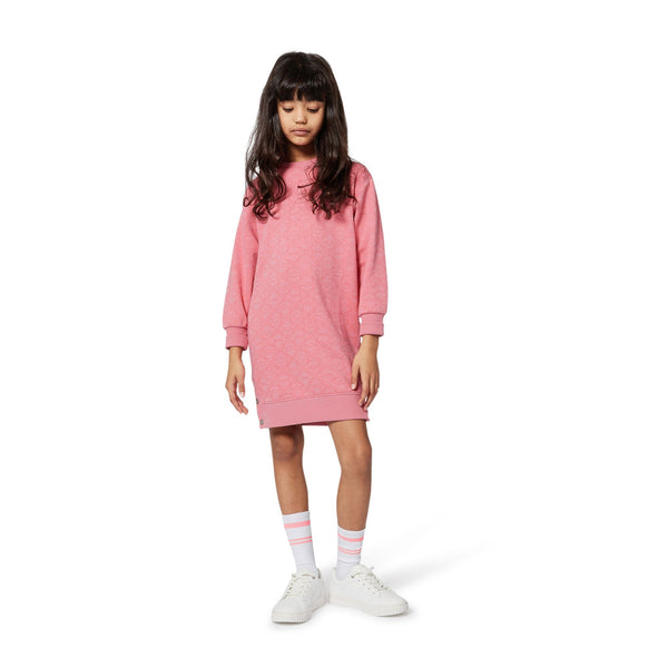 Raspberry Printed Sweatshirt Dress