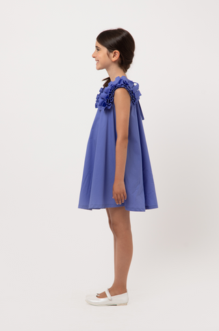Periwinkle Robinia Ruffle Sleeve Dress