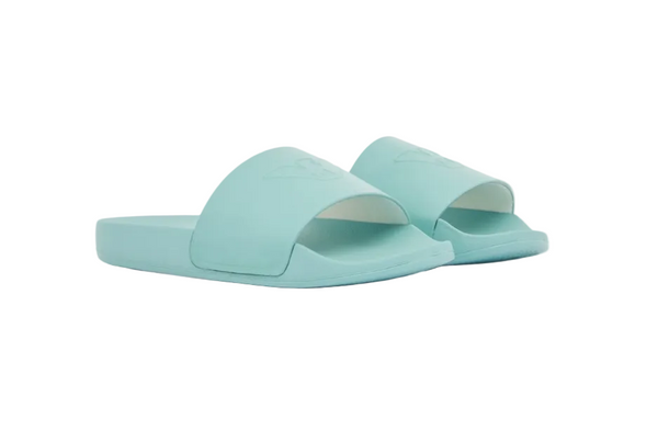 Aqua Eagle Slides