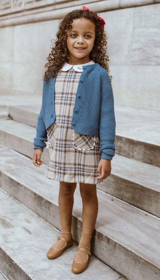 Beige and Blue Plaid A-line Dress