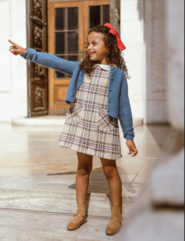 Beige and Blue Plaid A-line Dress