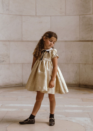 Gold Jaquard Puff Sleeve Dress