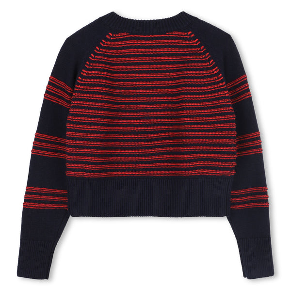 Navy and Red Knit Striped Sweater