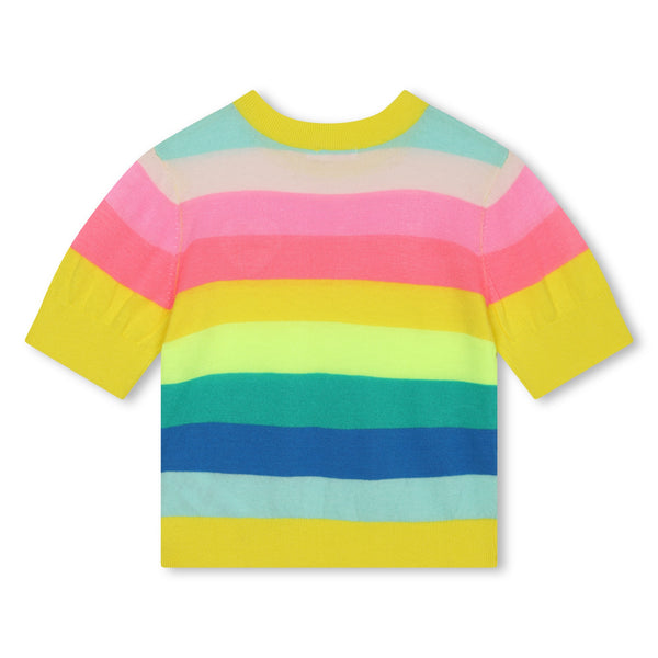 Multicolor Short Sleeve Knit Striped Sweater