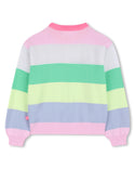 Multicolor Striped Knit Sweater