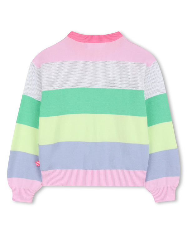 Multicolor Striped Knit Sweater