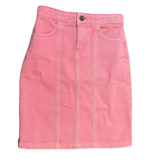 Pink Denim Long Length Skirt