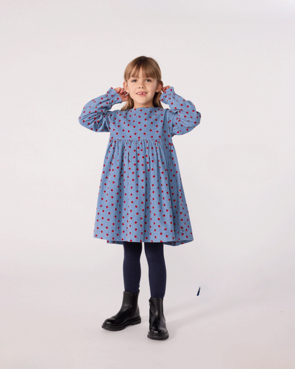 Blue and Red Apple Print Corduroy Dress