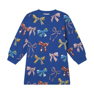 Blue Multicolor Bows Fleece Dress
