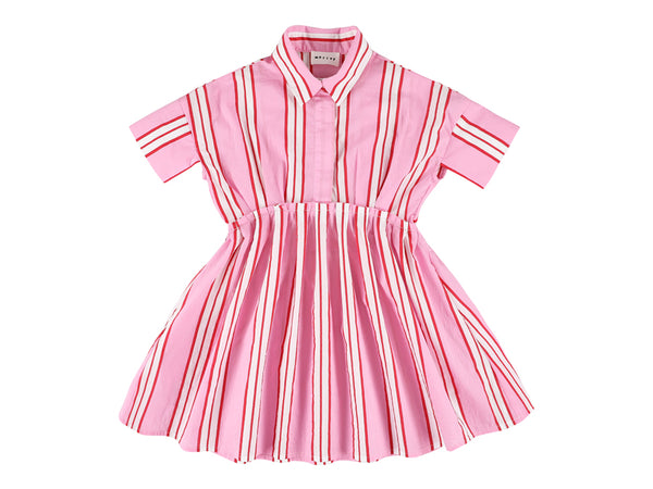 Pink Crazy Stripe Xoe Dress