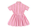 Pink Crazy Stripe Xoe Long Length Dress